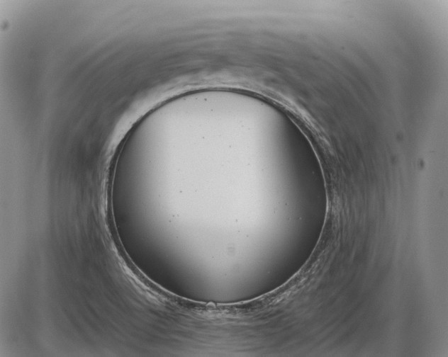 X0000085211512200703231454