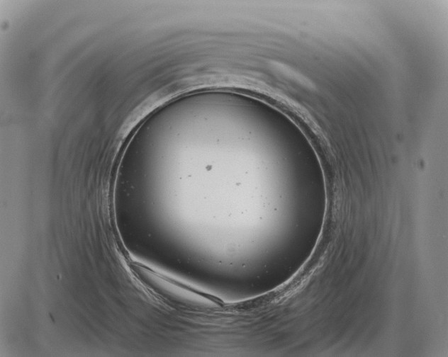 X0000085211513200703231454