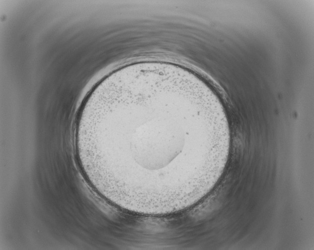 X0000085211514200703231454