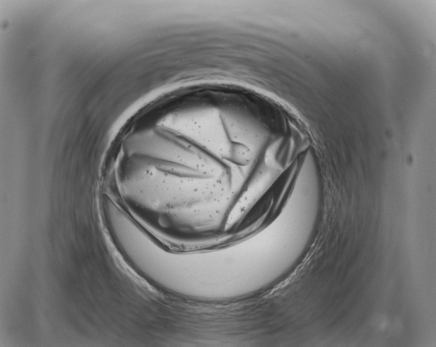 X0000085211518200703231454