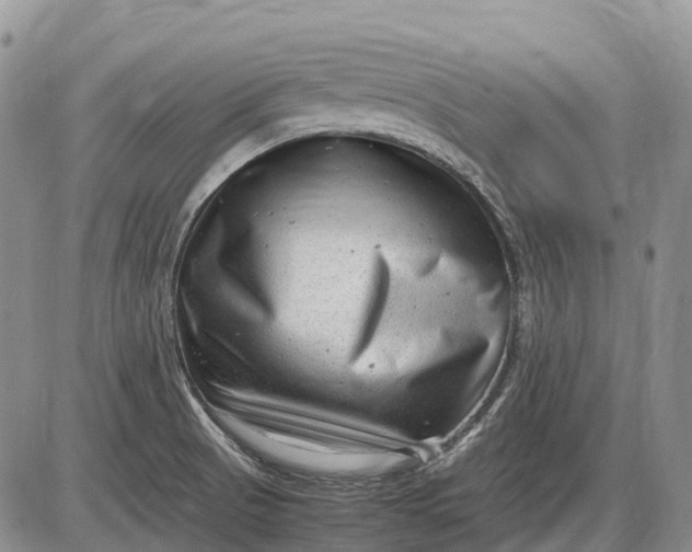 X0000085211521200703231454