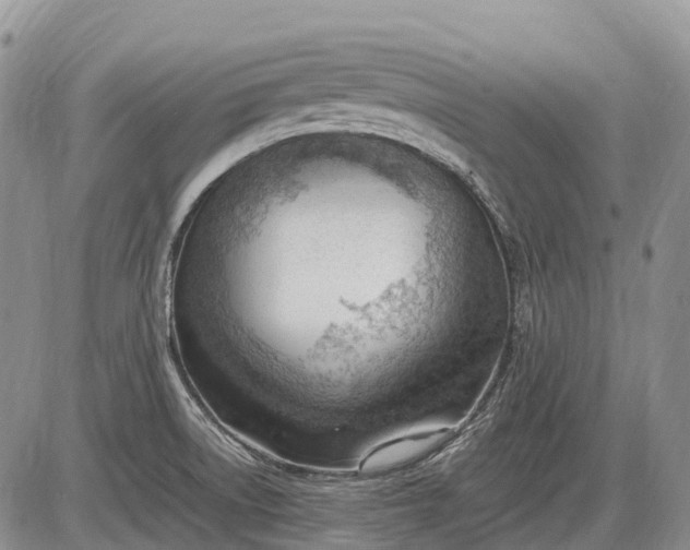 X0000085211522200703231454