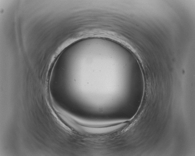 X0000085211525200703231454