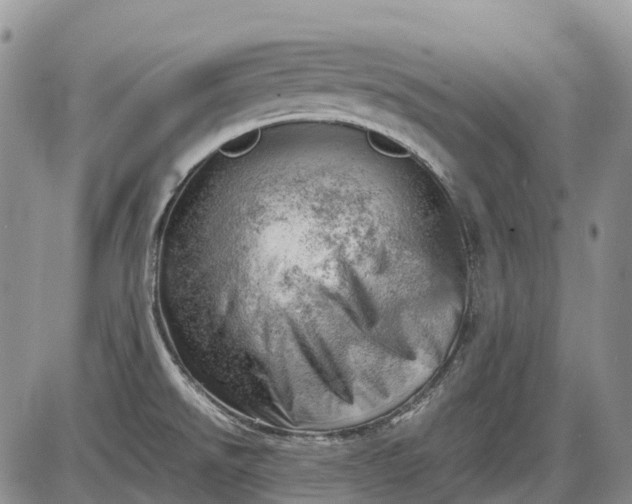 X0000085211526200703231454