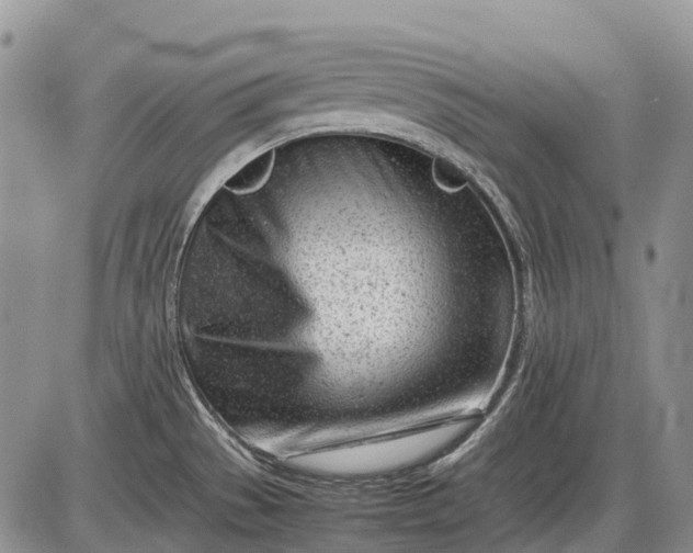 X0000085211529200703231454