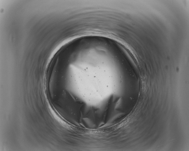 X0000085211531200703231454