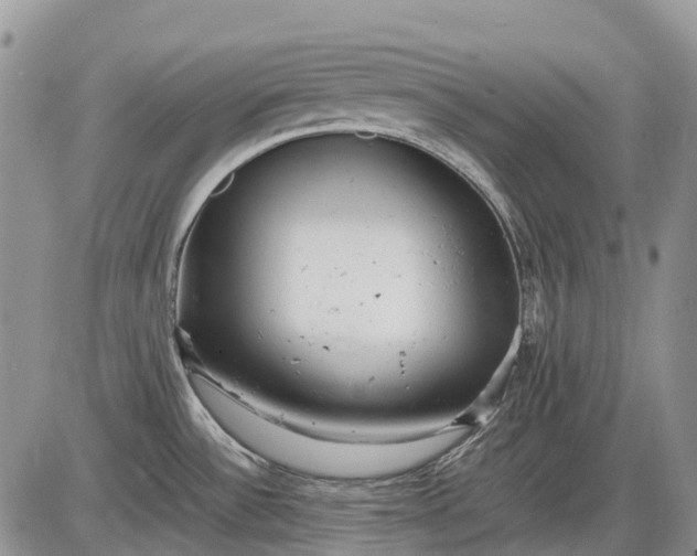 X0000085211532200703231454