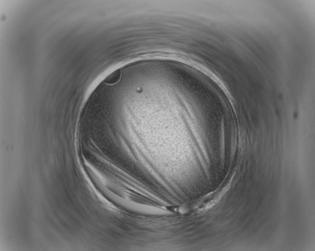 X0000085211533200703231454