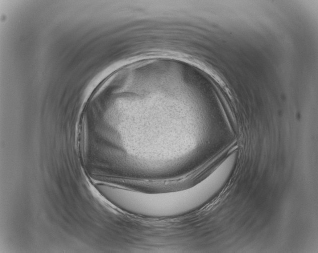 X0000085211535200703231454