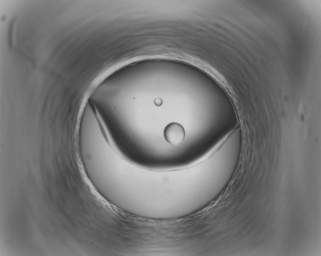 X0000085211536200703231454