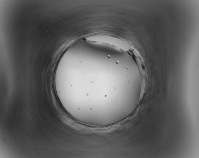 X0000085210001200703301652