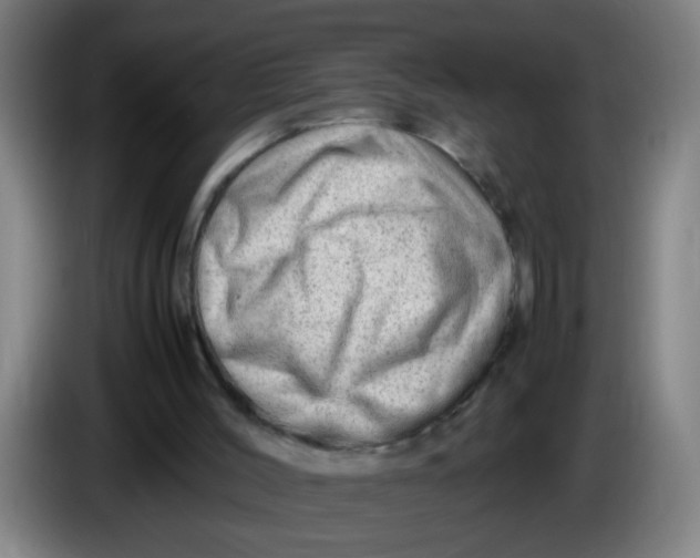 X0000085210004200703301652