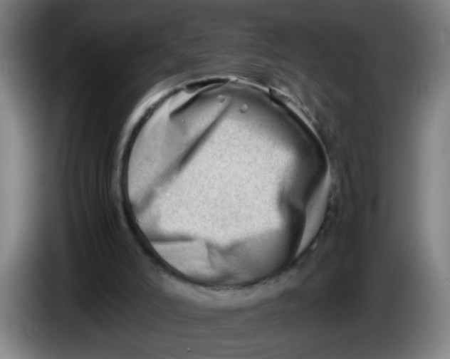 X0000085210006200703301652