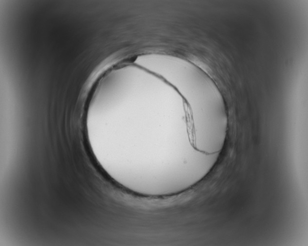 X0000085210007200703301652