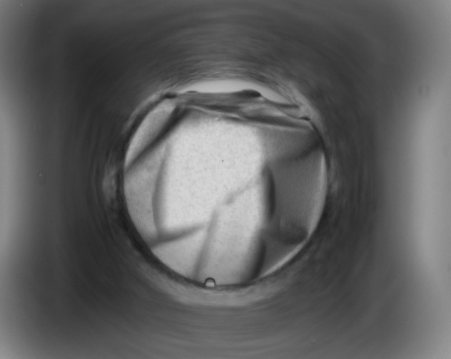 X0000085210010200703301651