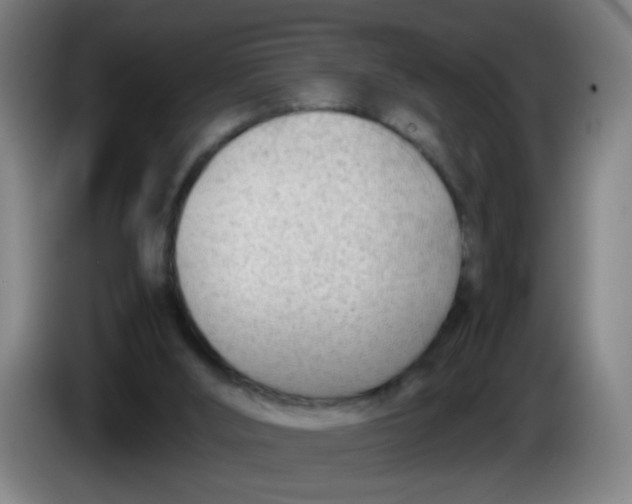 X0000085210012200703301651