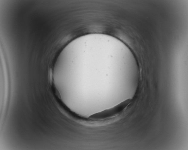 X0000085210013200703301651