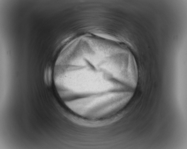 X0000085210014200703301651