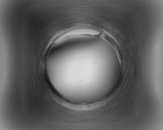 X0000085210015200703301651