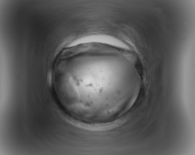 X0000085210019200703301651