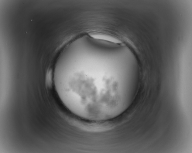 X0000085210020200703301651