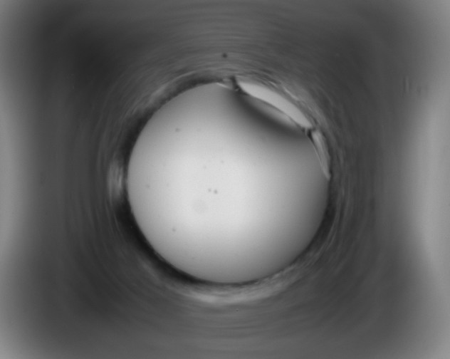 X0000085210021200703301651