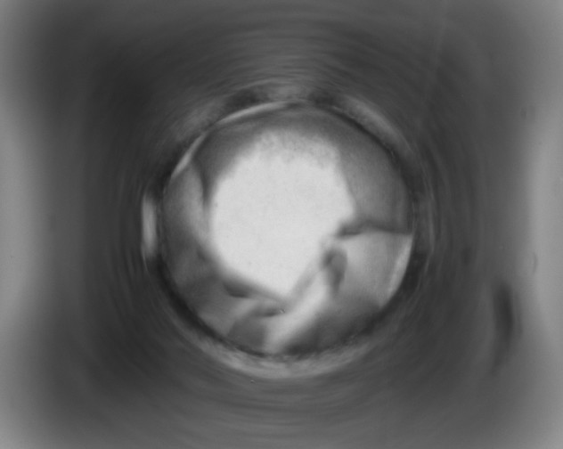 X0000085210022200703301651