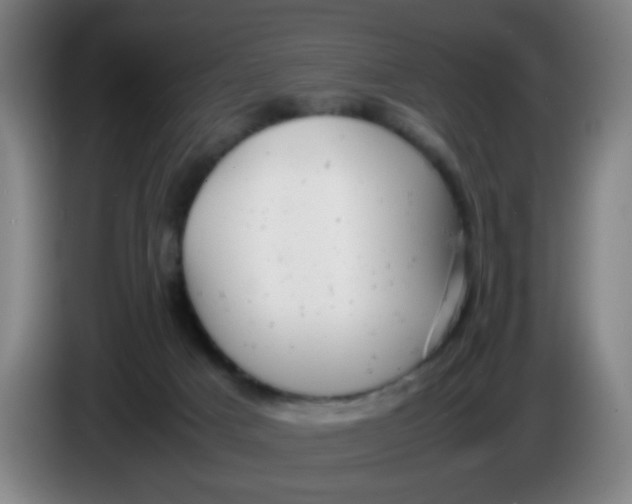 X0000085210025200703301651