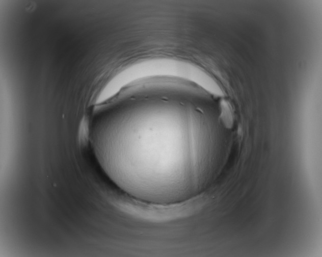 X0000085210027200703301651