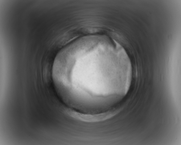 X0000085210030200703301651