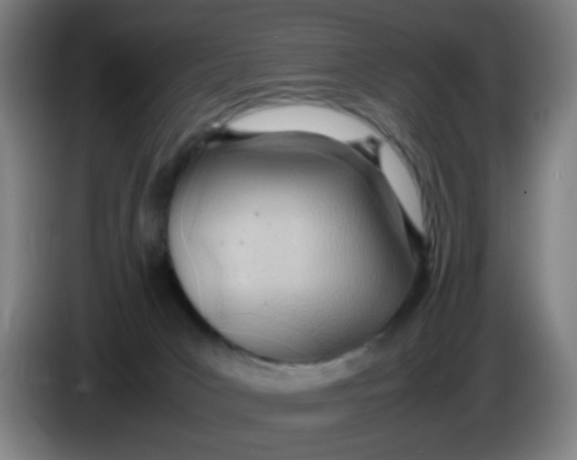 X0000085210031200703301651