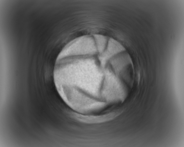 X0000085210034200703301651