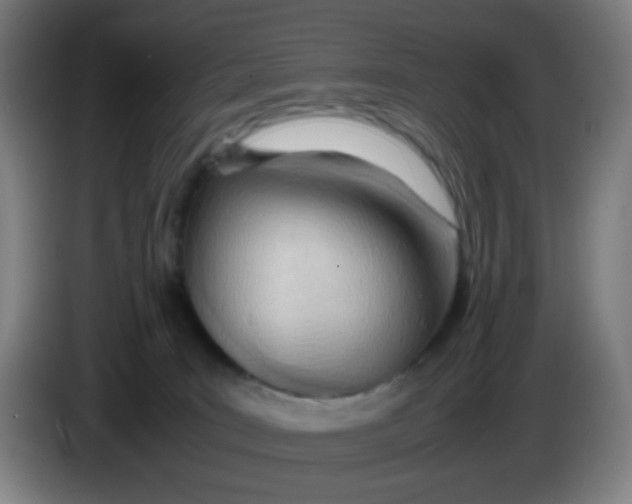 X0000085210035200703301651