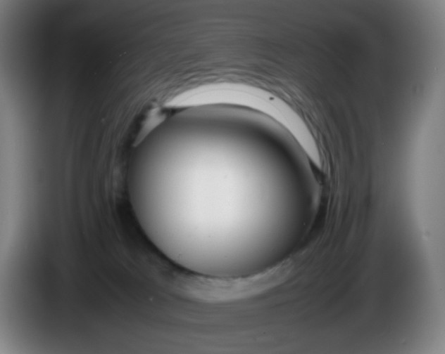 X0000085210037200703301651