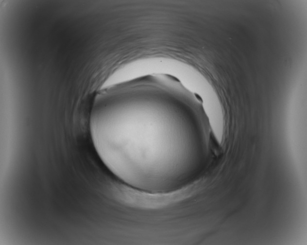 X0000085210039200703301651