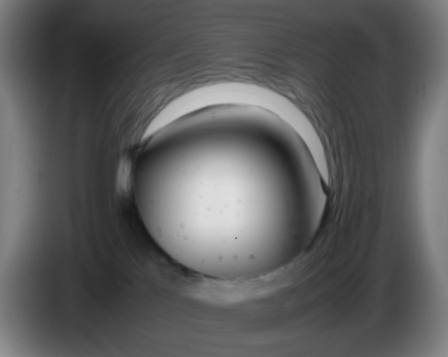 X0000085210041200703301651