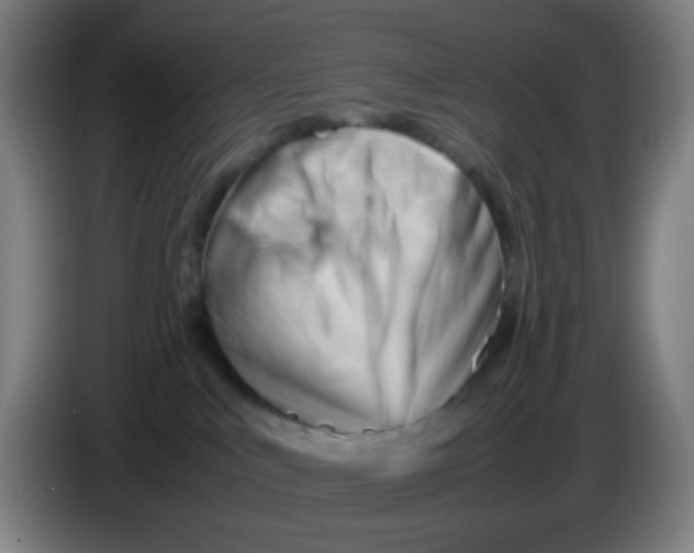 X0000085210043200703301651