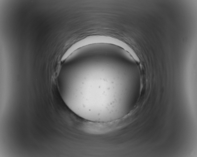 X0000085210045200703301651