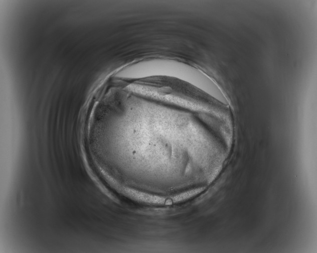 X0000085210049200703301650