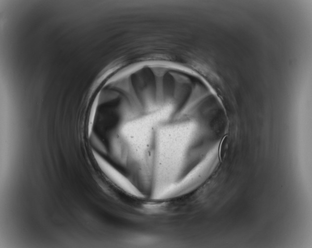 X0000085210051200703301650