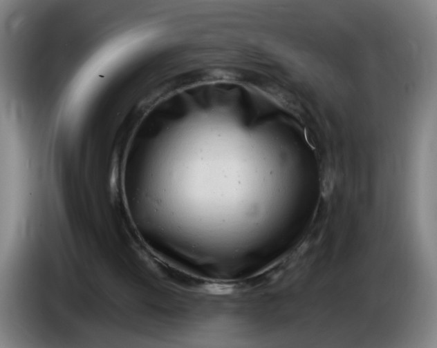 X0000085210052200703301650