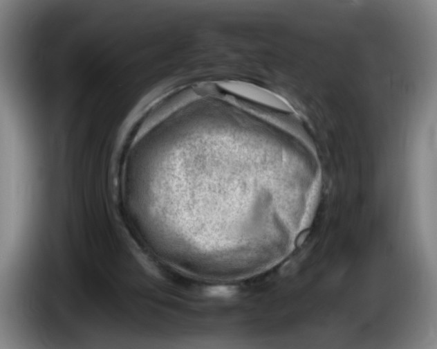 X0000085210053200703301650