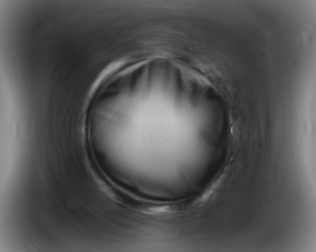 X0000085210054200703301650