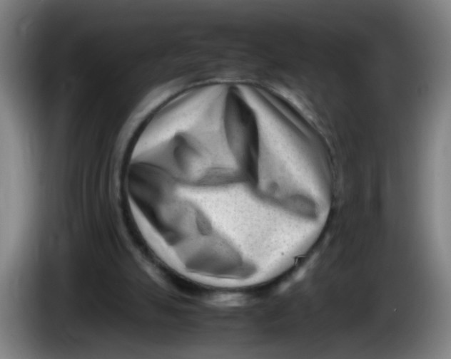 X0000085210055200703301650