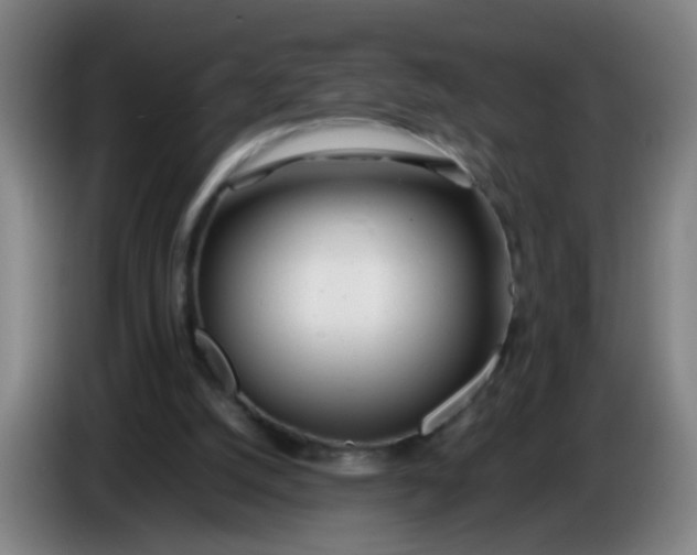 X0000085210056200703301650