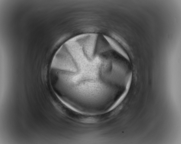 X0000085210058200703301650