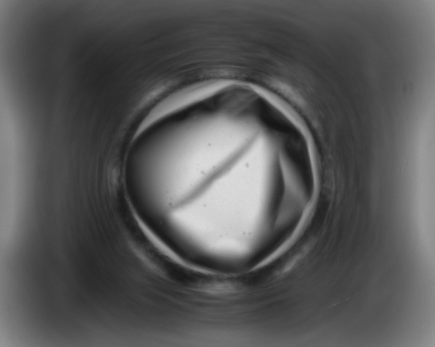 X0000085210063200703301650