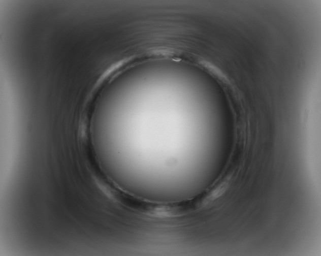 X0000085210064200703301650