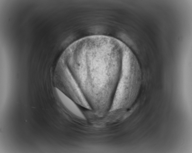 X0000085210065200703301651