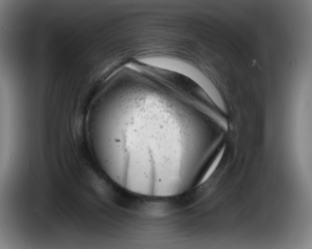 X0000085210066200703301651